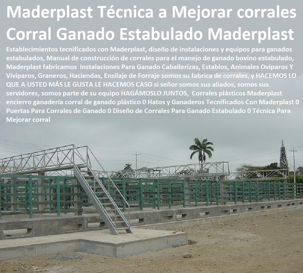 Corrales plásticos Maderplast encierro ganadería Explotación Ganadera Automatizada, Sistemas de Pastoreo, Estabulación de Ganado, Pastoreo Intensivo, Establos, Corrales, Saladeros, Comederos, Cerramientos, Postes, Ganaderías Tecnificadas, Ganaderías Tecnificadas, corral de ganado plástico 0 Hatos y Ganaderos Tecnificados Con Maderplast 0 Puertas Para Corrales de Ganado 0 Diseño de Corrales Para Ganado Estabulado 0 Técnica Para Mejorar corral Corrales plásticos Maderplast encierro ganadería corral de ganado plástico 0 Hatos y Ganaderos Tecnificados Con Maderplast 0 Puertas Para Corrales de Ganado 0 Diseño de Corrales Para Ganado Estabulado 0 Técnica Para Mejorar corral